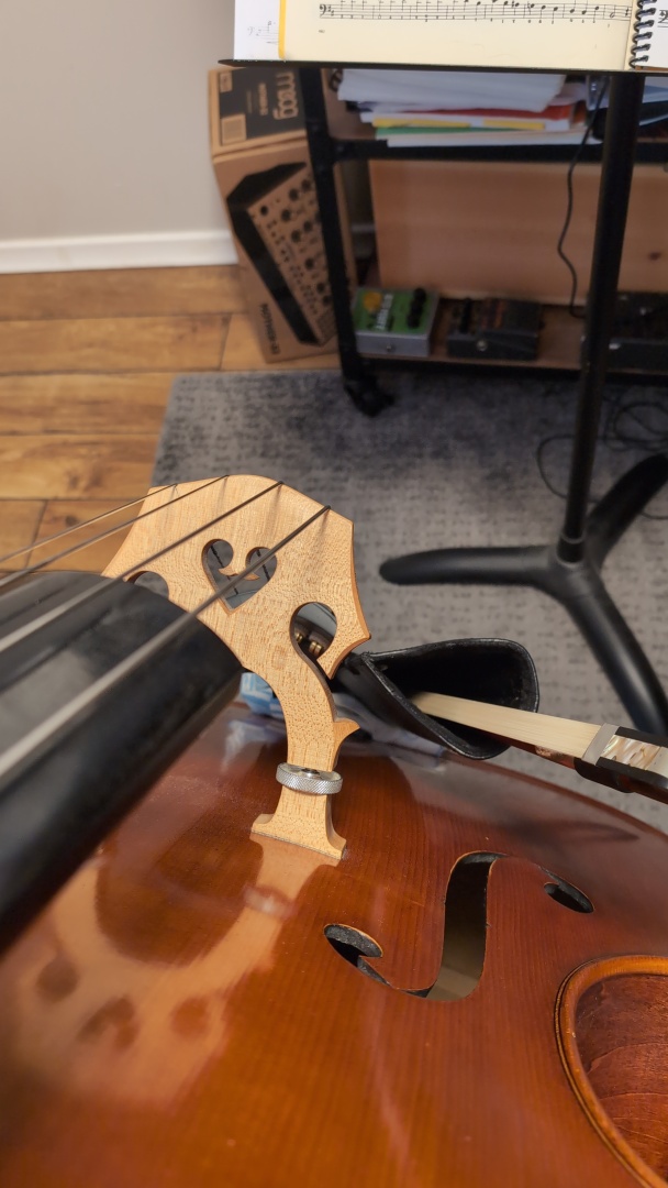 Player's view of a double bass
