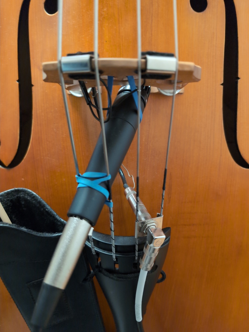 A double bass bridge with a microphone and contact mic attached.