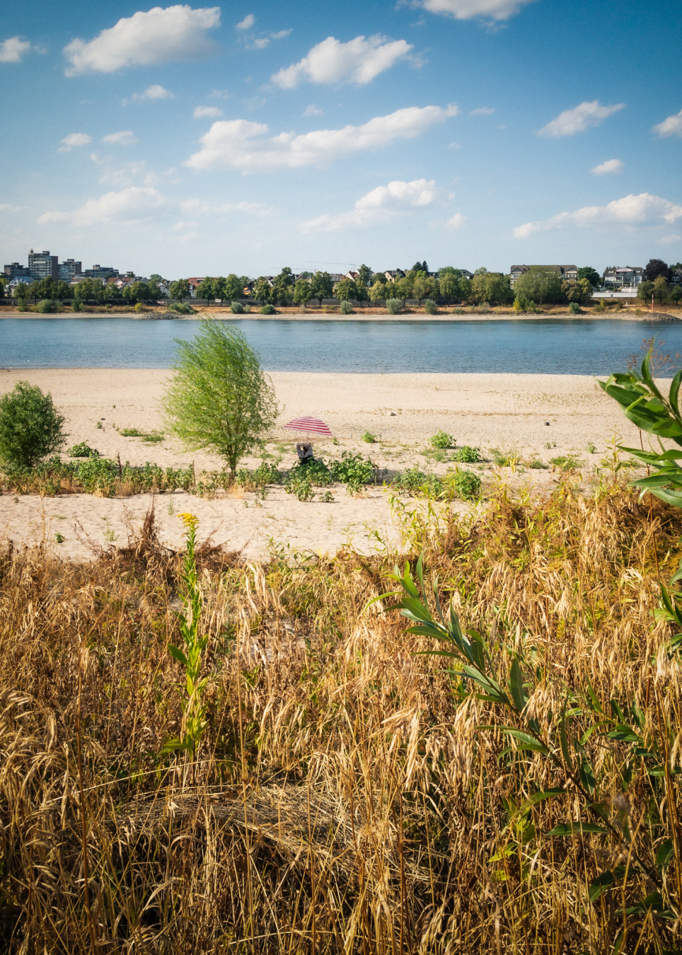 panoramic view of single person in chair under umbrella on sunlit river bank