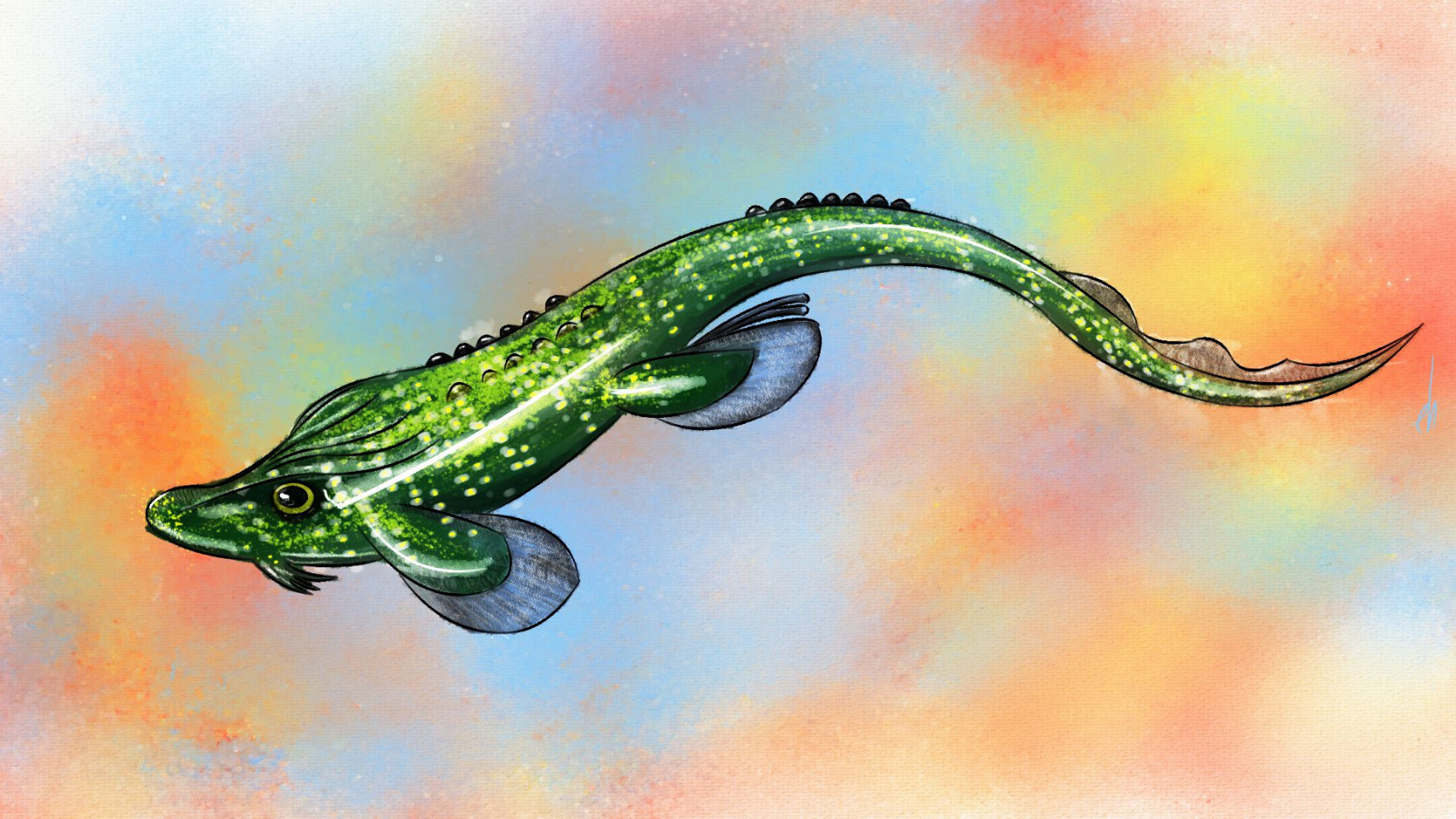 Deltoptychius painted with Mypaint.