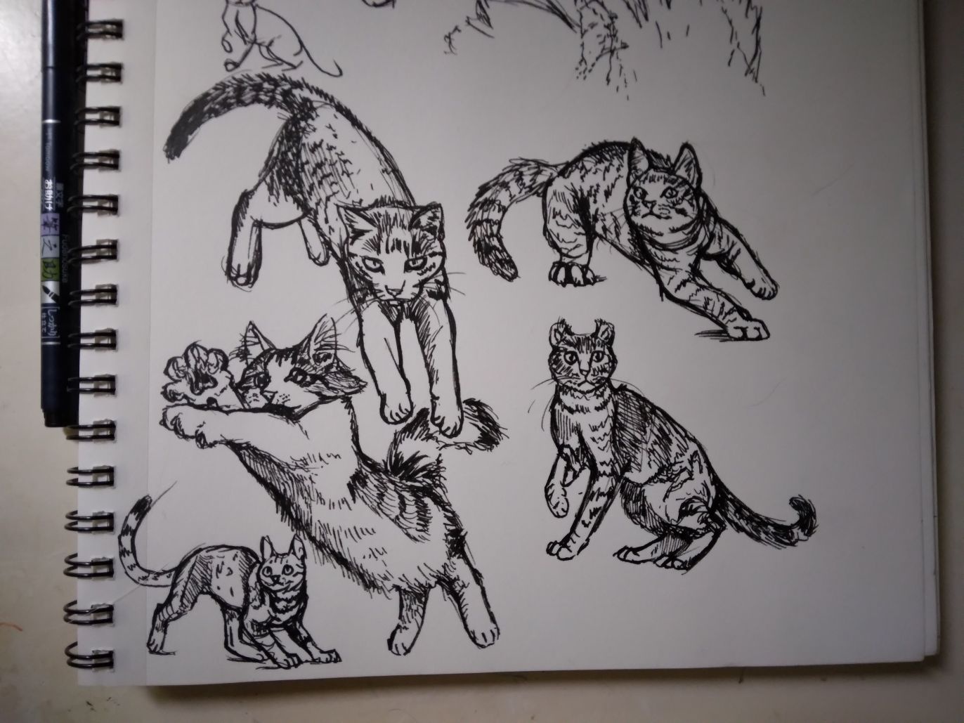 Pen sketches of cats in different action poses. Leaping or pouncing.
