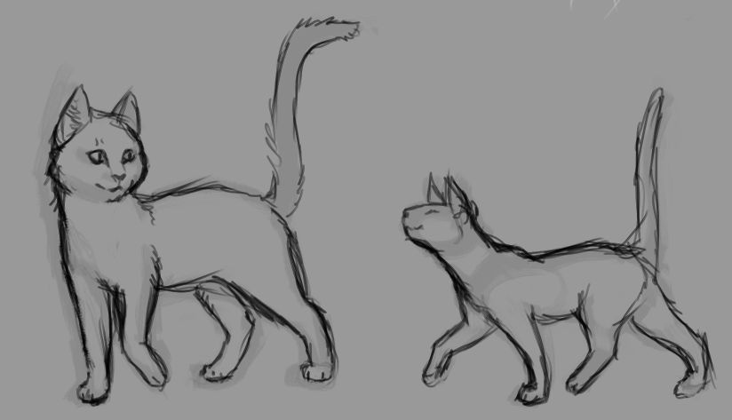 Sketch of an adult cat and a younger kitten, smiling and tails high, walking together.