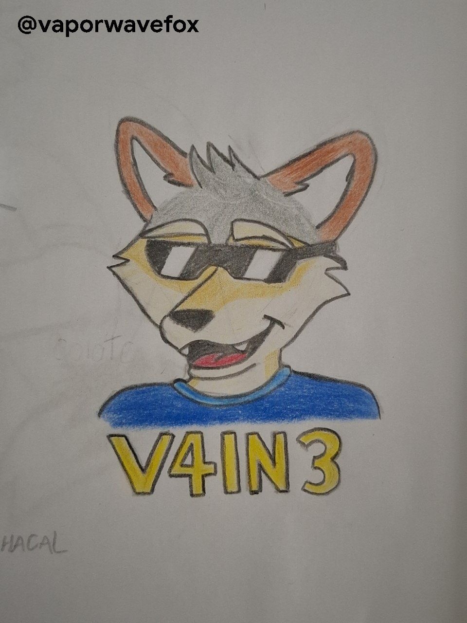 v4in3 badge