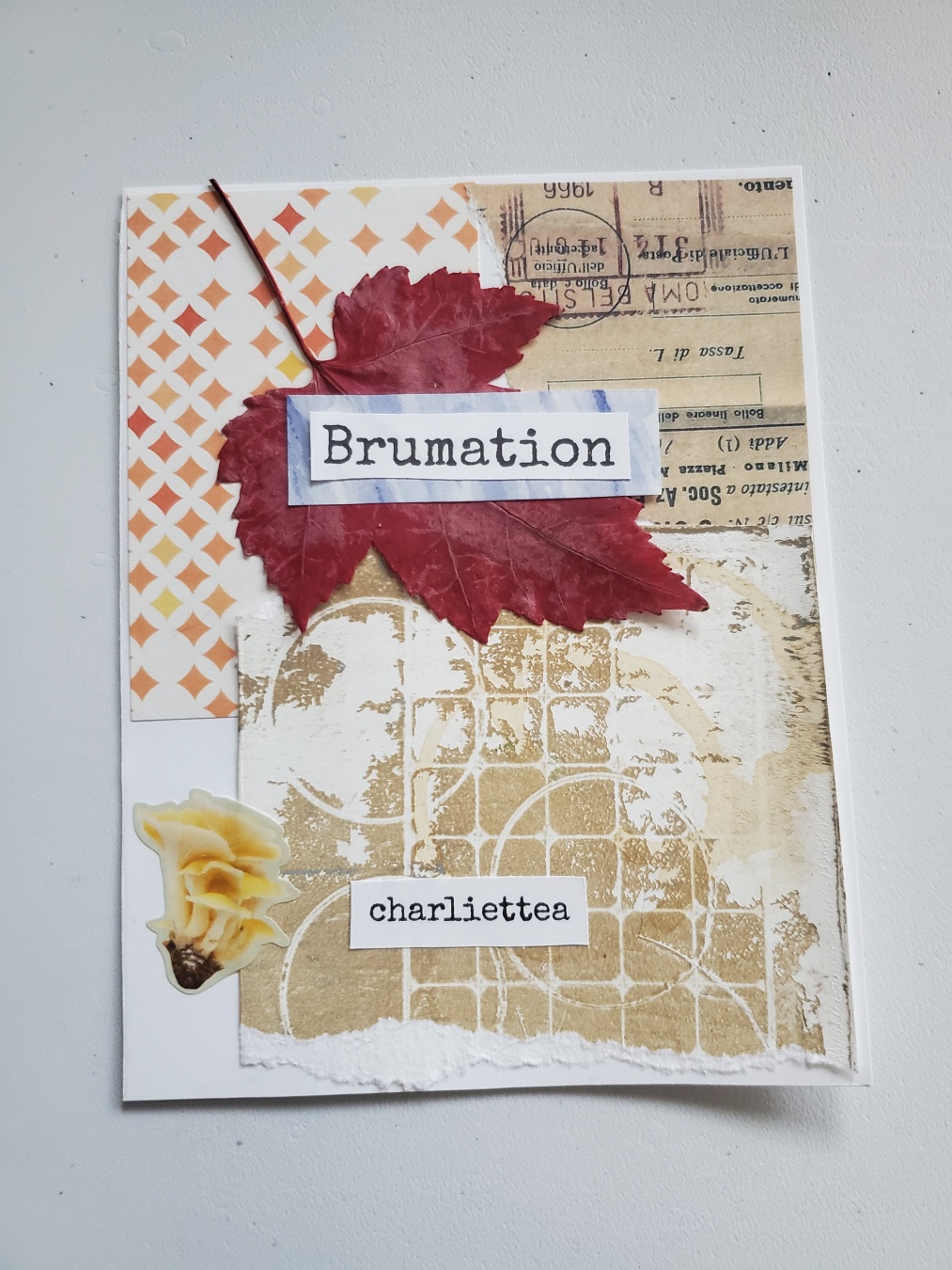 A photo of the cover of a quarter page sized zine. Some decorative papers and a beige gel plate print with a grid pattern and scattered circles make up the background. A red three pointed maple leave is in the top center of the page. The title, Brumation, is pasted on top of the leaf. The author's name, charlie t tea, is at the bottom of the page. The text is typed in a typrewriter kind of font.