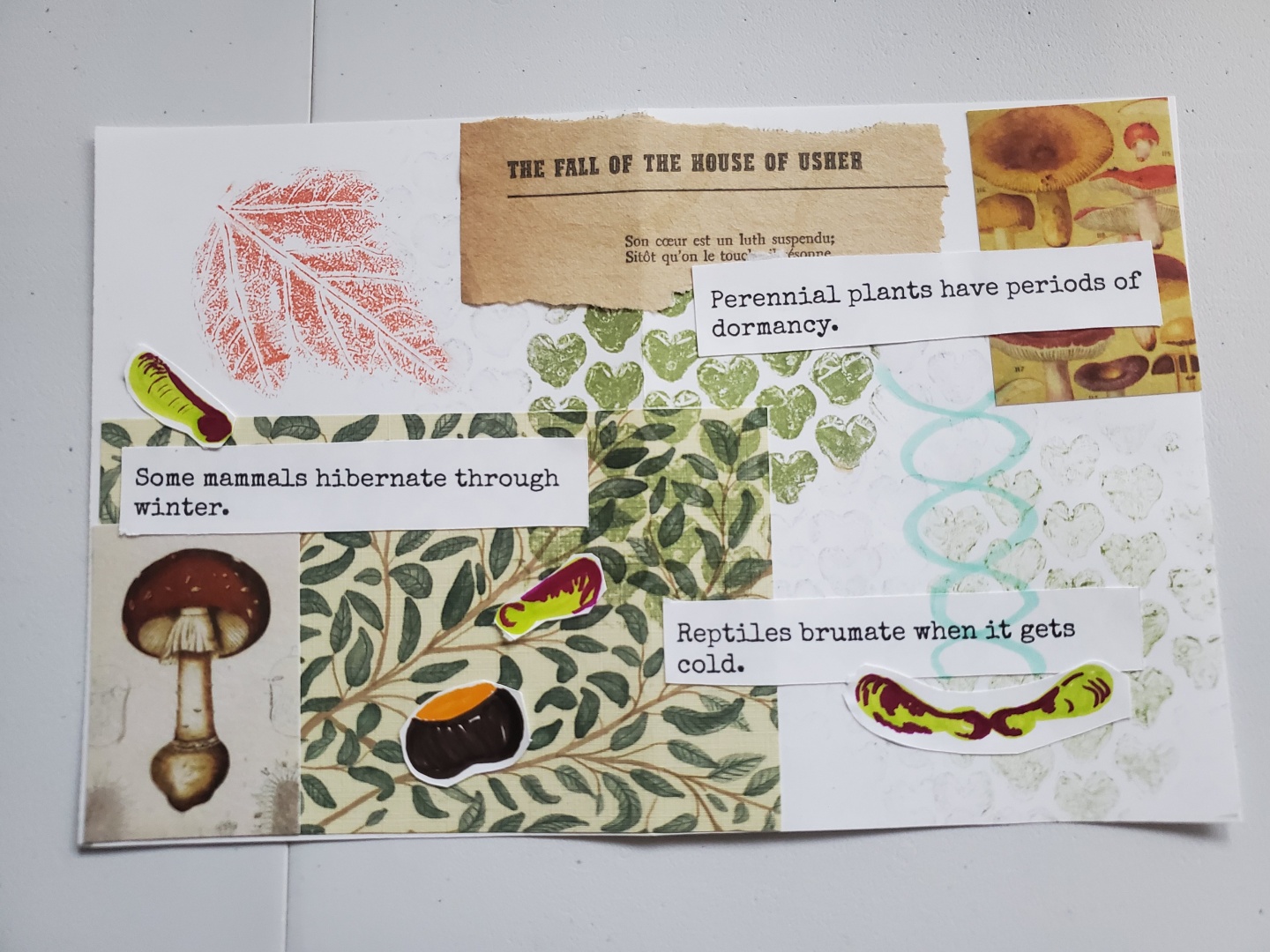 A photo of another two page spread inside the zine. This one features small decorative mushroom papers in a couple corners, a red ink print of a maple leaf in one corner, a few marker drawn seedpods twirling down the page, and a marker drawn horse chestnut as well. There are sage green heart shapes in the center of the page which were printed with heart shaped bubble wrap. Decorative green leaf paper and a scrap of an old yellowed title page of the fall of the house of usher are also in the background. The text scattered on the page says, "perennial plants have periods of dormancy. Some mammals hibernate through winter. Reptiles brumate when it gets cold."