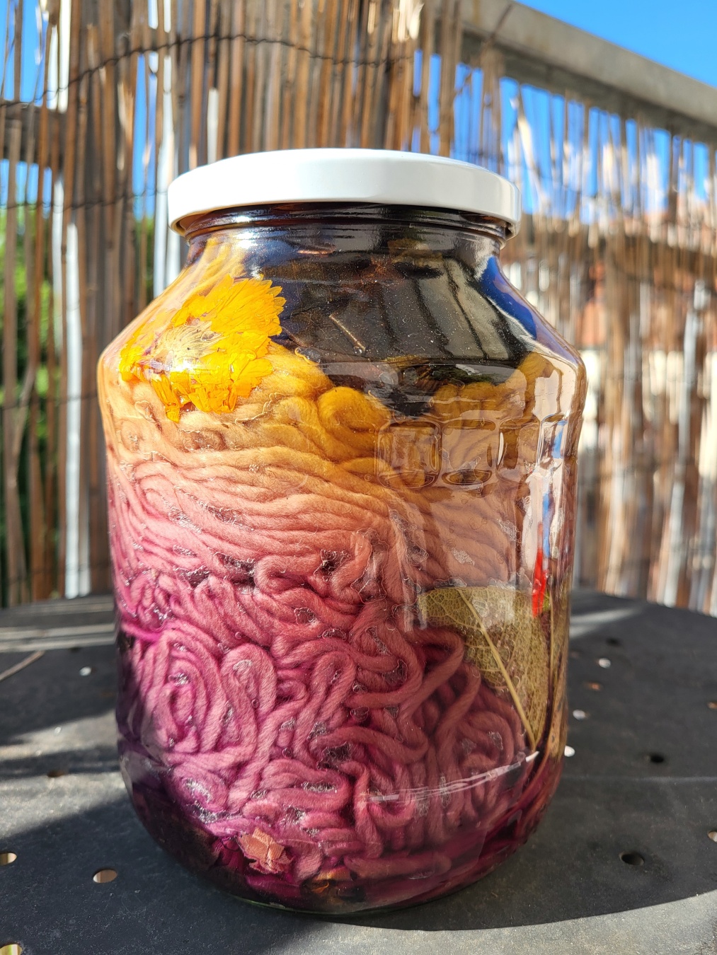 Another view on the same jar. Now the bottom third is still of a pink tone, there is a sage leaf in between the yarn threads, the middle third is more of an orange tone and the top third is a deep bright yellow-orange colour. There's a yellow flower and some red onion peels.