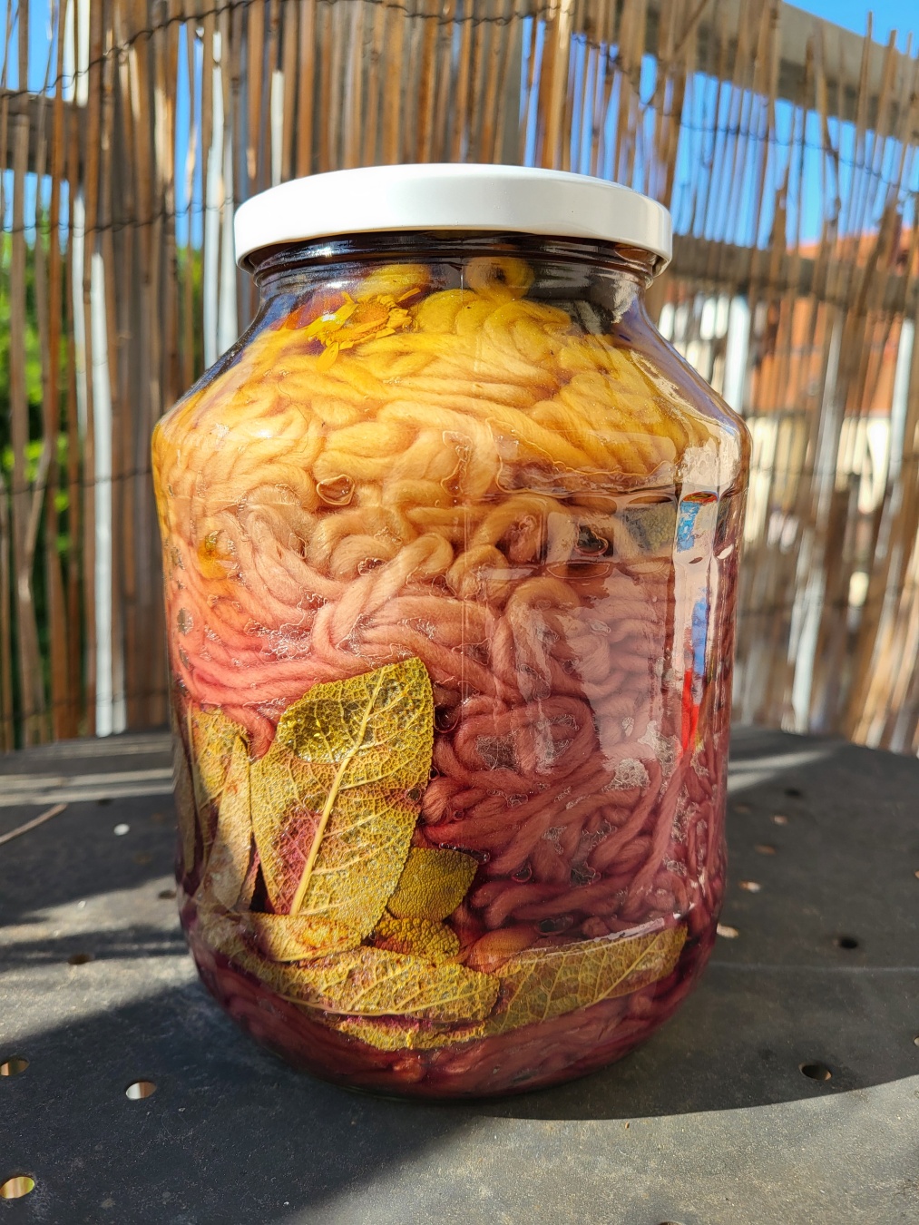 Still the same jar, yet another view on it. Bottom and middle: red and orange tones, there are also some sage leaves. Top third: the deep and bright, almost orange, yellow.