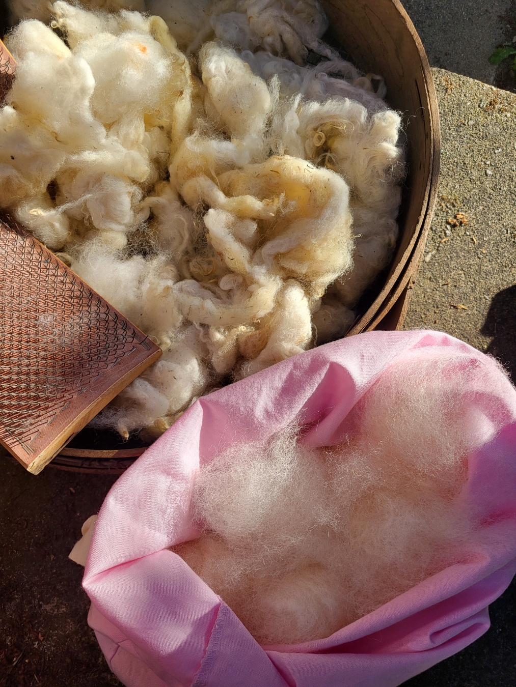 A wooden sieve full of natural white scoured wool and a hand carder. Next to it there is a pink bag with natural white carded wool mini batts ready to be spun.