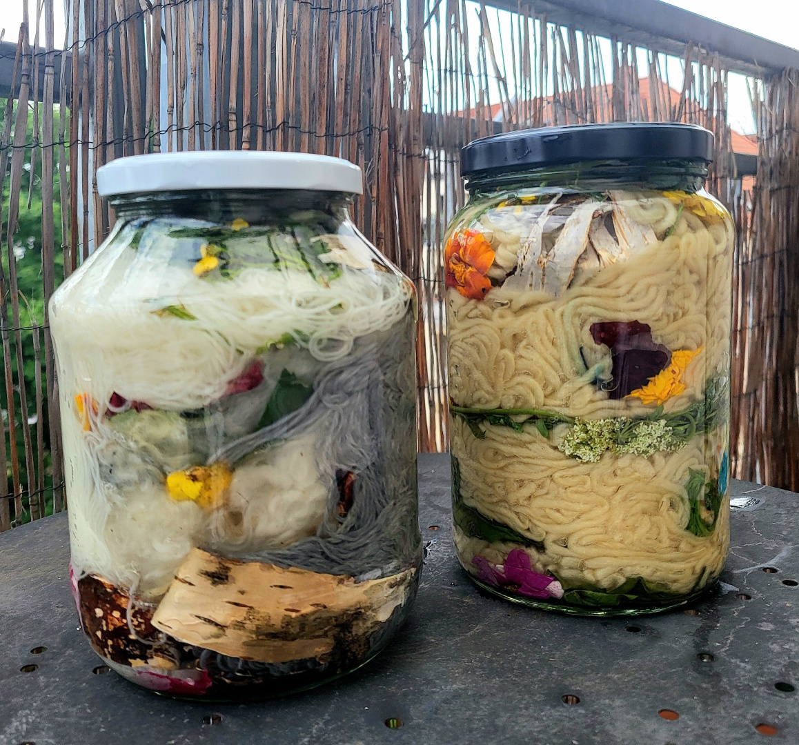 Two big jars filled with yarn in two shades of white and one in gray and also white wool fibers. In between and surrounding them you can see parts of plant material like flowers and bark (e.g. birch bark, daucus carota, red onion peels, tagetes and calendula, cosmo and dyer's chamomile.