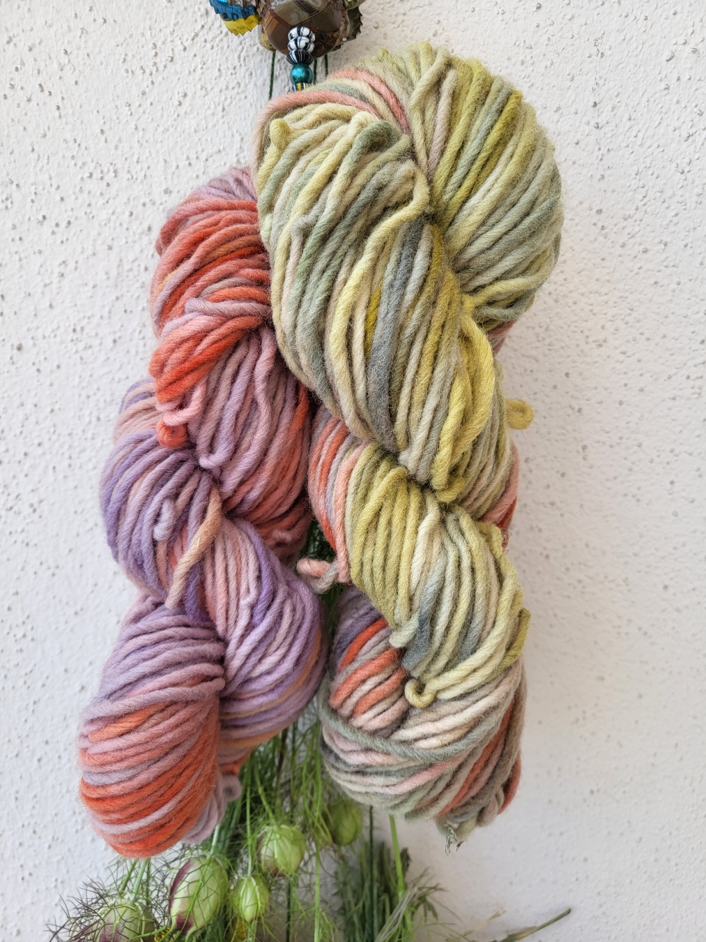Two varied skeins of single-ply yarn hanging on a hook on a wall. The left skein's colours range from lavender and rose to an orangy red. The skein on the right has a lot more variety: a few red spots, yes, but mostly soft yellow, greenish, grayish, almost blueish, olive and rose tones. A few sprigs of Nigella Damascena peek out underneath, hanging there to dry.