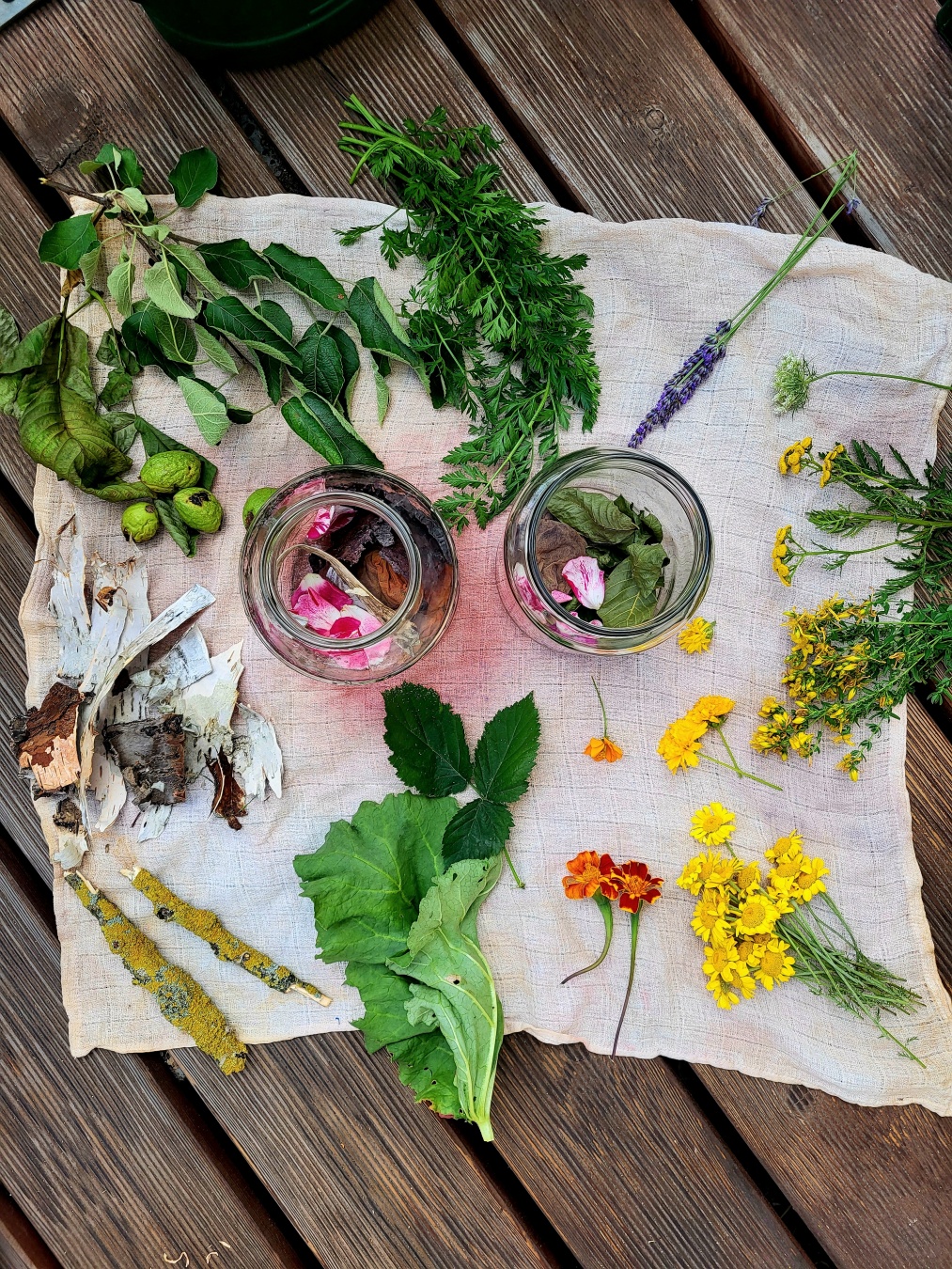 Flat lay perspective of a cloth on wooden planks of a balcony. There are standing two glass jars in the middle of the cloth which are surrounded by plant material like walnut leaves, apple tree leaves, carrot green, lavender, daucus carota, some yellow flowers (among them dyer's chamomile, St. Johns wort, marigolds), a rhubarb leaf, black berry leaves, birch and cherry bark and an old twig of unknown origin. There is already a little material in the jars like bark and rose petals and walnut leaves.