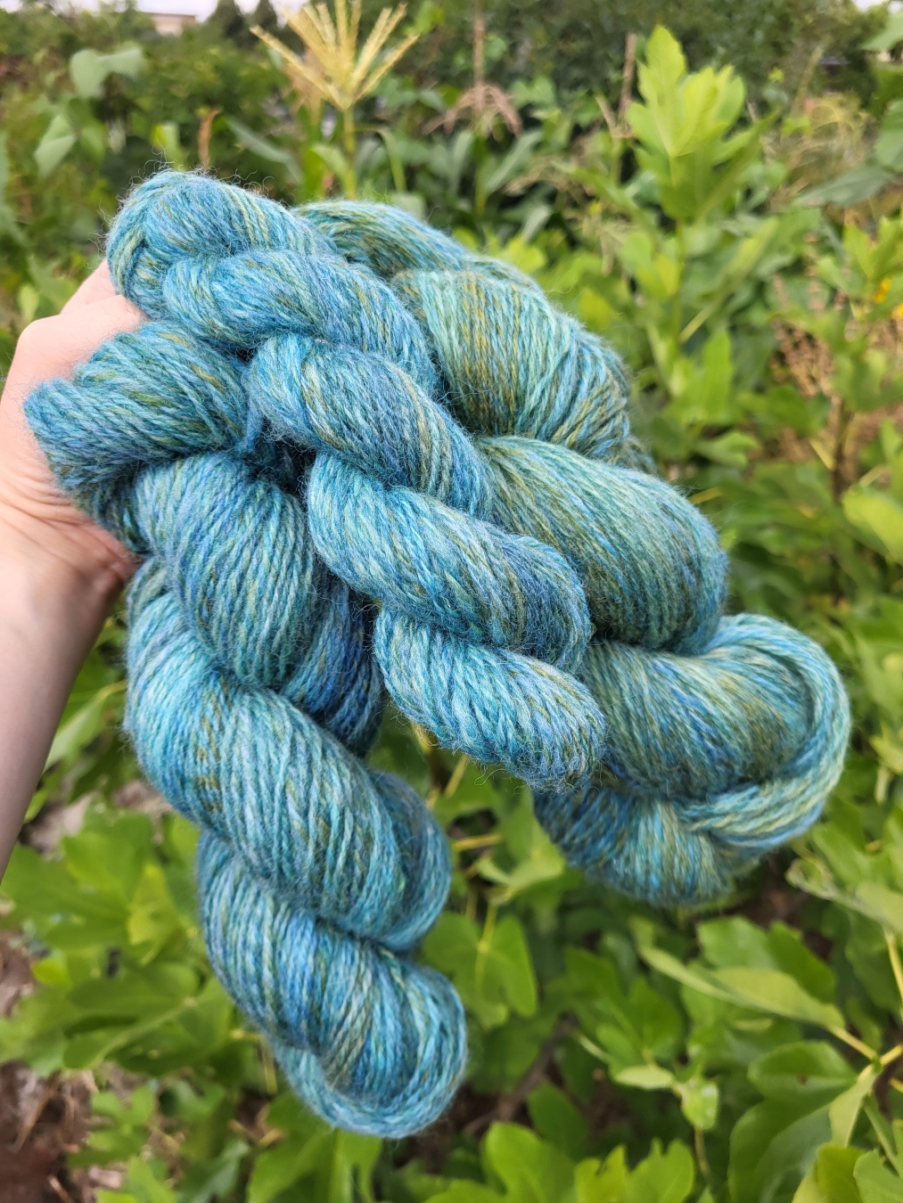 3 skeins of shetland yarn held by a white hand in front of fig tree. The yarn is mostly blue but with spots of green, golden, yellow, lighter and darker blues.