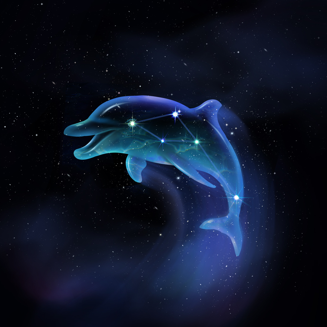 Delphinus constellation