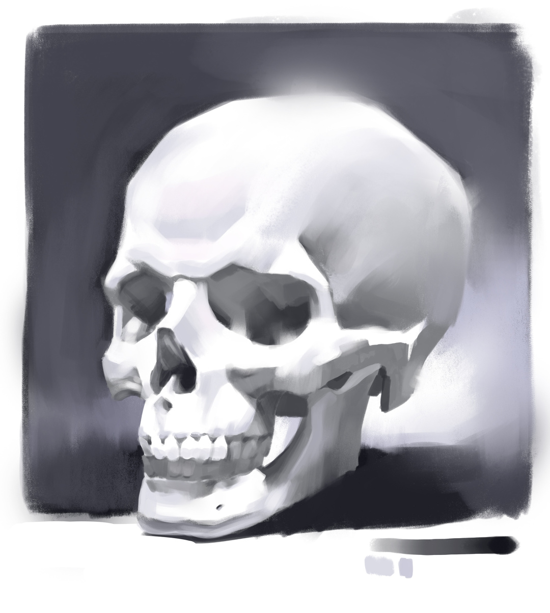 Skull painting