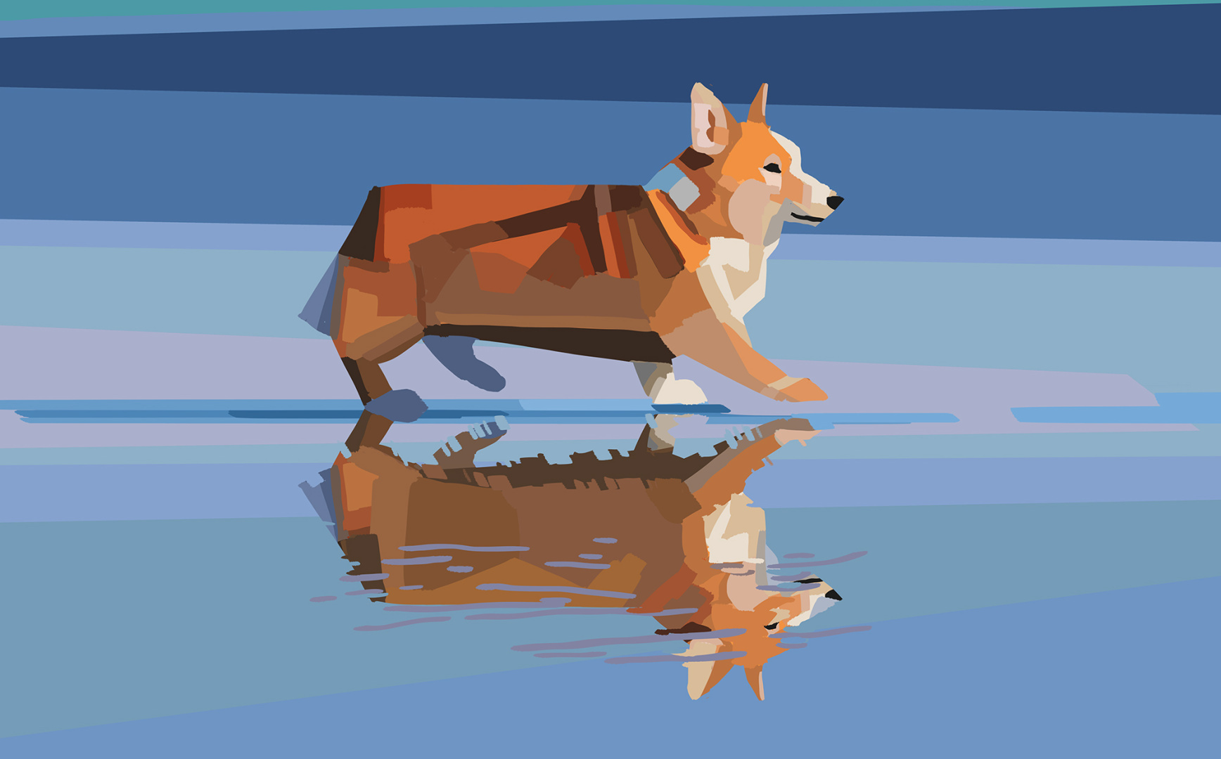 Corgi walking on water