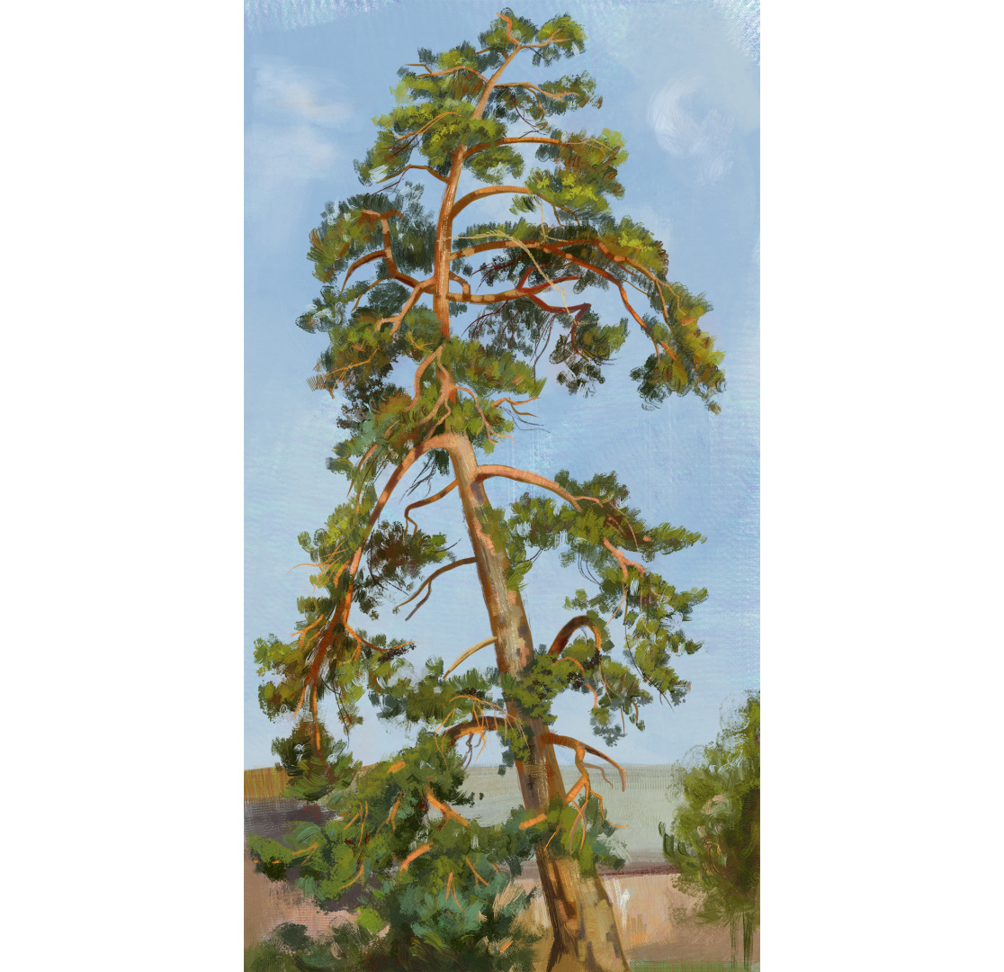 Tree painting