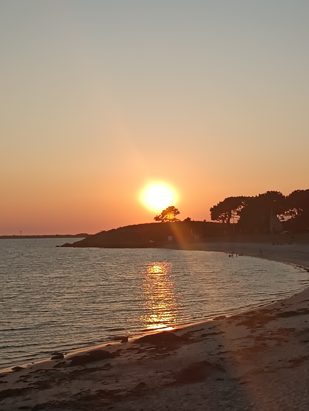 Bord de plage avec une avancée de terre où le soleil se couche juste au dessus de la ligne d'horizon. La silhouette des pins se découpe à contrejour. Le ciel se pare d'oranges et de roses qui se reflètent dans l'océan