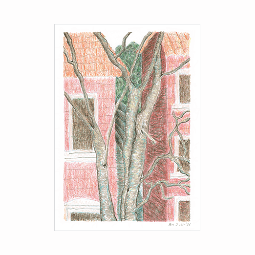 Nieuwe tekening | New drawing..
"Grijze boom" | "Grey Tree", kleurpotlood | coloured pencil, 21x15cm.